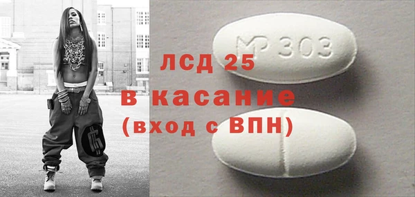 ГАЛЛЮЦИНОГЕННЫЕ ГРИБЫ Михайлов