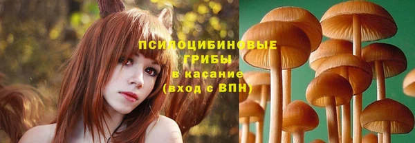 2c-b Михайловка