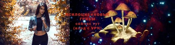 кокс Михайловск