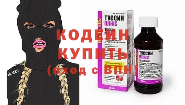 ГАЛЛЮЦИНОГЕННЫЕ ГРИБЫ Михайлов