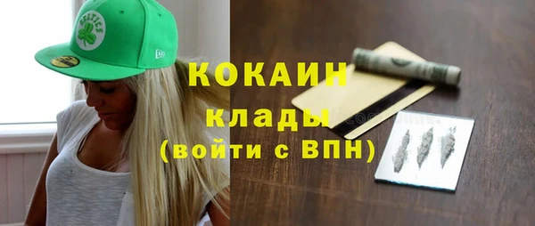 ГАЛЛЮЦИНОГЕННЫЕ ГРИБЫ Михайлов