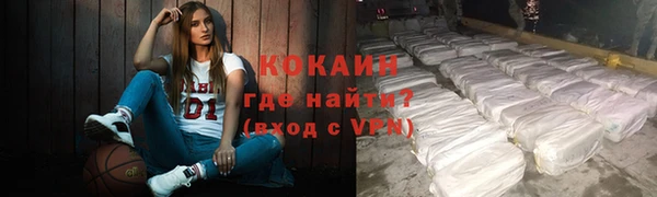 ГАЛЛЮЦИНОГЕННЫЕ ГРИБЫ Михайлов
