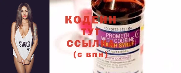 ГАЛЛЮЦИНОГЕННЫЕ ГРИБЫ Михайлов
