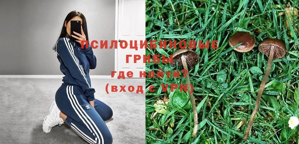 кокс Михайловск