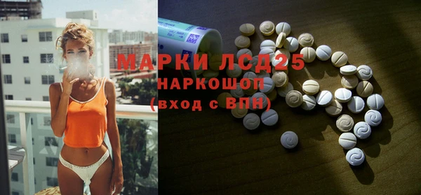 ГАЛЛЮЦИНОГЕННЫЕ ГРИБЫ Михайлов